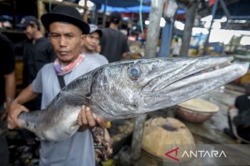 Volume penangkapan ikan nasional 2025