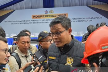 Sebanyak 282 perusahaan langgar aturan ekspor CPO