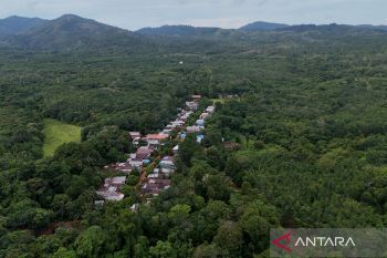Gerbang hijau Geopark Meratus dari Desa Belangian
