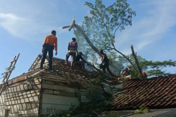 BPBD Lampung: Enam kabupaten terdampak oleh angin kencang
