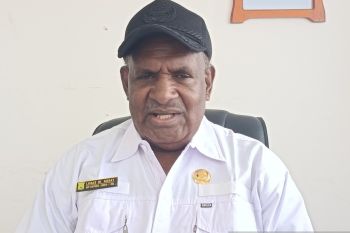 Pemprov mendorong pendataan OAP di seluruh wilayah Papua Pegunungan