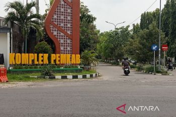 Bantul bebaskan PBB lahan pertanian produktif seluas 12 ribu hektare
