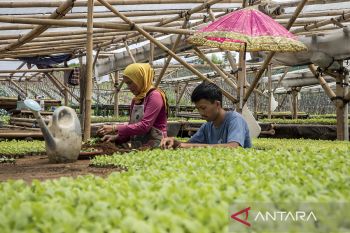 Pertumbuhan ekonomi Jawa Barat triwulan III-2025