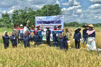 Pertamina EP Adera Field bangkitnya asa masyarakat Desa Pengabuan melalui Program Permata