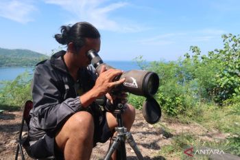 Menilik potensi wisata pengamatan migrasi burung