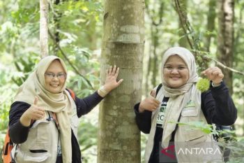 Kalsel kemarin dari  proyek pembangunan hingga PHBK