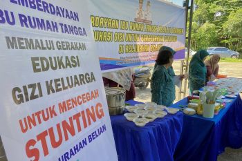 DP3AP2KB Batam kenalkan menu sehat untuk gizi balita