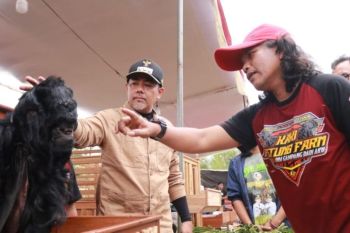 Bupati Haris dorong Probolinggo jadi sentra ternak kambing dan domba