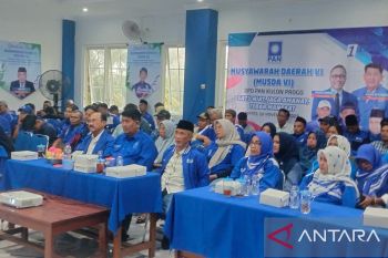 Ketua DPD PAN Kulon Progo turun bawah jaring pengurus baru