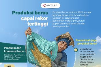 Produksi beras capai rekor tertinggi
