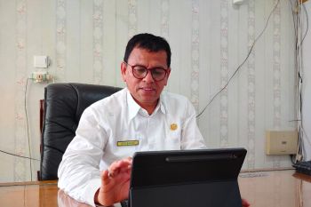 Agam miliki dua lokasi energi panas bumi diatas 25 megawatt