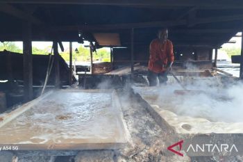 Menjaga tradisi, wujudkan swasembada garam di Tanah Rencong