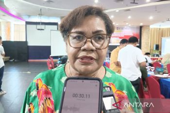 Empat kabupaten dan kota menjadi lokasi program penanaman padi di Papua