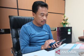 Bulog Papua dorong beras SPHP dinikmati masyarakat di Intan Jaya dan Puncak