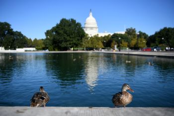 Dua petinggi BBC mundur terkait penyuntingan film dokumenter Trump