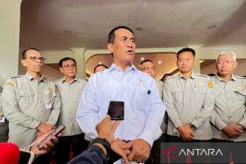 Indonesia to be self-reliant on food with increased agriculture