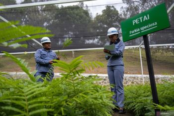 Menghijaukan kawasan Danau Toba untuk masa depan aluminium