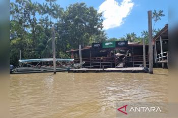 Menikmati manisnya cokelat Amazon dari Pulau Combu