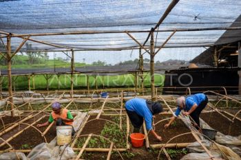 Productivity key to strengthening RI's industry competitiveness: govt