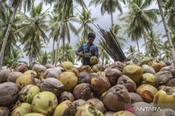 Indonesia pushes agricultural downstreaming to boost farmers&rsquo; income