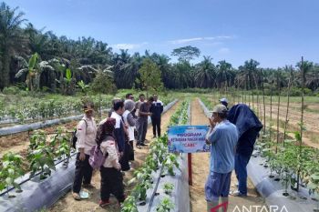 Desa Bukit Makmur raih penghargaan 15 desa terbaik nasional Program BRILiaN 2025