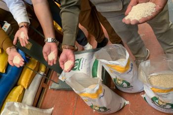 Direktur Bapanas tinjau mutu beras bantuan pangan di Parigi Moutong