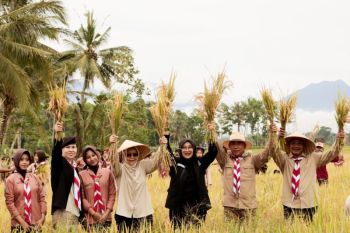 Banyuwangi catat produksi padi dan jagung tahun ini surplus