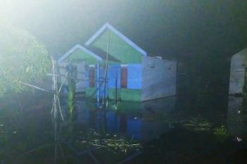 Banjir rob rendam sebagian wilayah selatan Kotim