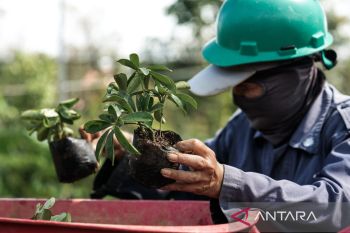 Transformasi lahan konflik Megamendung jadi kawasan ekowisata