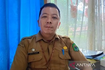 Semua desa di Kapuas naik kelas berkat program profil desa PROAKTIF