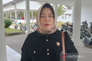 DPRD Barsel perjuangkan penggantian tiang listrik standar PLN di Palurejo