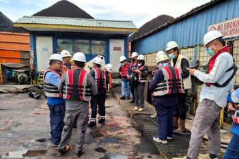 KLH tindaklanjuti kematian Pesut Mahakam, awasi tiga perusahaan