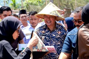 Pemkab Pasaman pastikan ketersediaan pupuk bersubsidi bagi petani