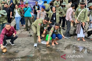 BKSDA Bali bentuk asosiasi kelompok pelestarian penyu