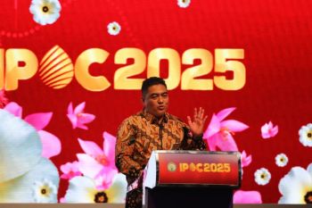 Pemerintah percepat program PSR dengan atasi hambatan