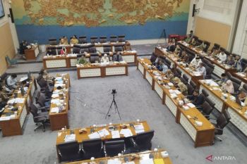 Komisi VII minta Perkosmi "kejar" kosmetik ilegal lindungi produk lokal