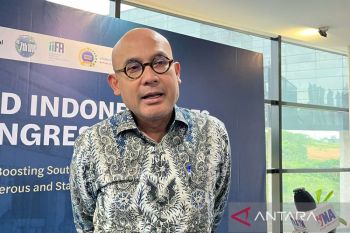 Wamenlu sebut program Makan Bergizi Gratis makin jadi perhatian dunia