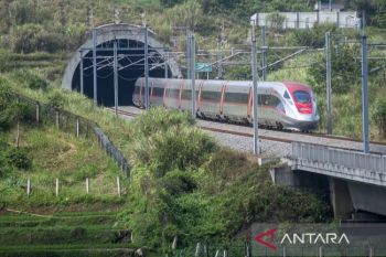 Pakar nilai pemerintah segera restrukturisasi utang BUMN konsorsium PSBI