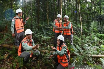 PT Vale: Dari Matano hingga Pomalaa, jejak keberlanjutan yang menyatu dengan Alam dan Manusia