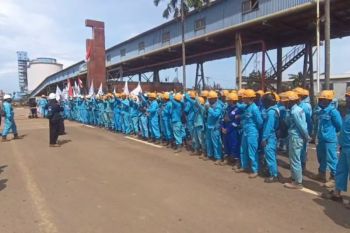 Seratusan pekerja PT WHW AR Ketapang mogok kerja tuntut perbaikan pengupahan