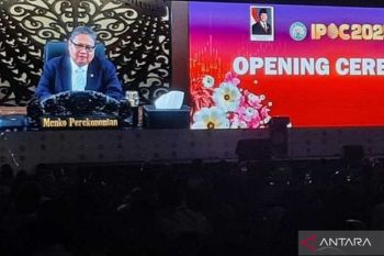 Menko Perekonomian sebut sawit perkuat neracaperdagangan Indonesia