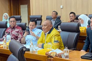 Anggota DPR minta pemerintah percepat eksekusi transisi energi