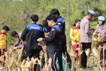 Pacu minat generasi muda, Polres Gumas libatkan pelajar panen jagung