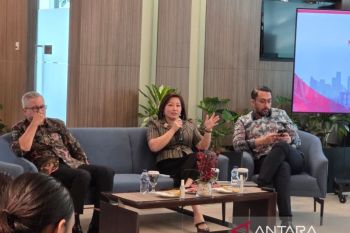 Danantara aims to return all grounded Garuda jets by 2026