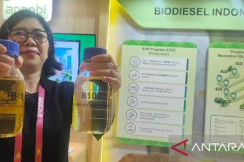 Biodiesel penopang ketahanan energi nasional
