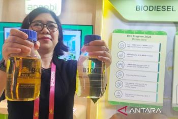 Biofuel: jawaban bagi rapuhnya energi fosil nasional