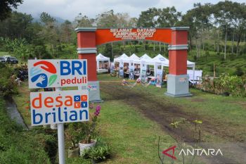 Dukung Asta Cita, BRI Kian Gencar Perkuat UMKM Demi Akselerasi Ekonomi yang Merata