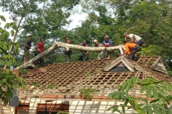 BPDB Lampung perlu perkuat sistem peringatan dini antisipasi megatrust