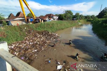 DAS Juwana kritis, perlu segera dipulihkan