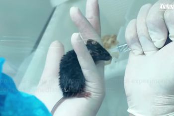 Stasiun luar angkasa China kirim batch sampel terbaru untuk penelitian